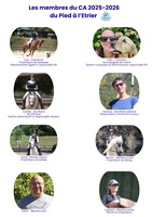 Conseil d'Administration de l'association le Pied à l'Etrier - Composition du bureau